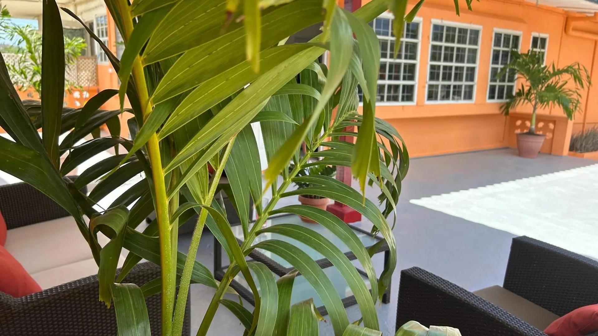 Aquila Apartments Martinique Willemstad 0*,