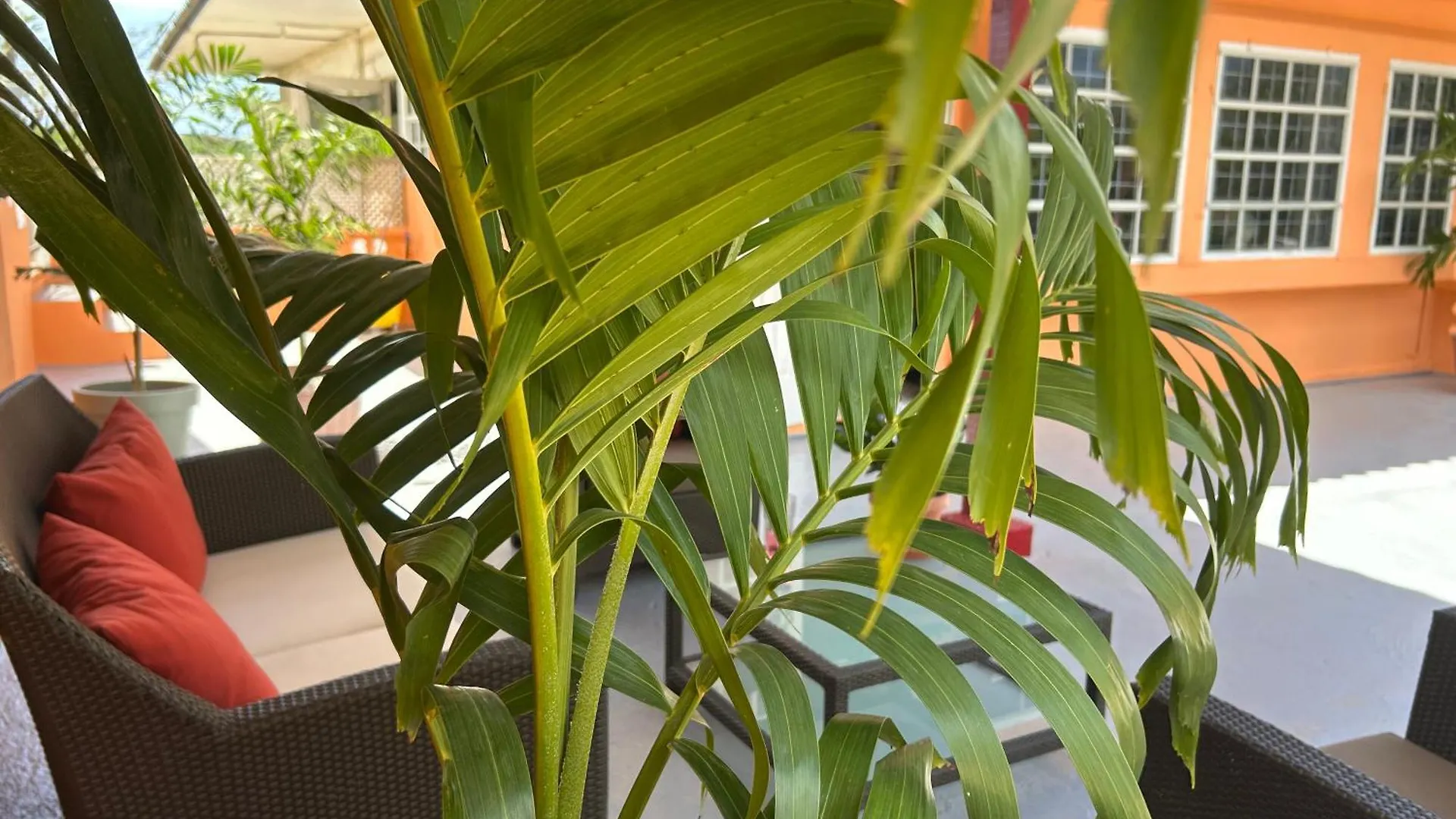 Aquila Apartments Martinique Willemstad
